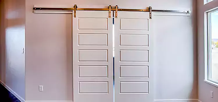 Glass Barn Door with Installation Hardware Kit Southampton